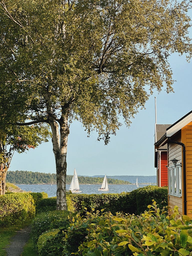 Idyllic view of sailboats on Oslo Harbor, framed by lush greenery and birch trees.